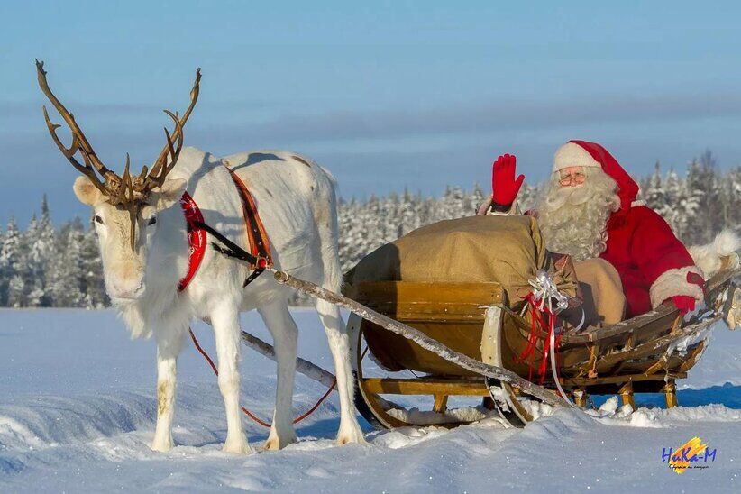 Новогодние туры в Финляндию